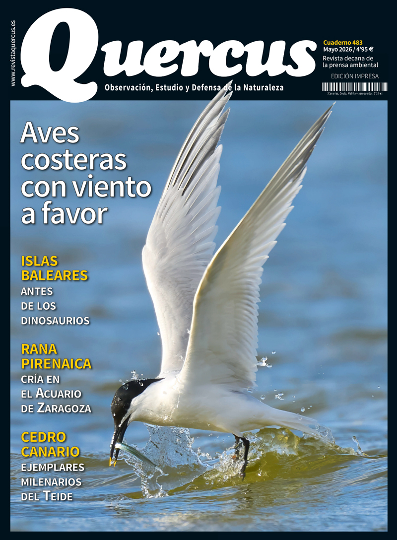 Revista Quercus