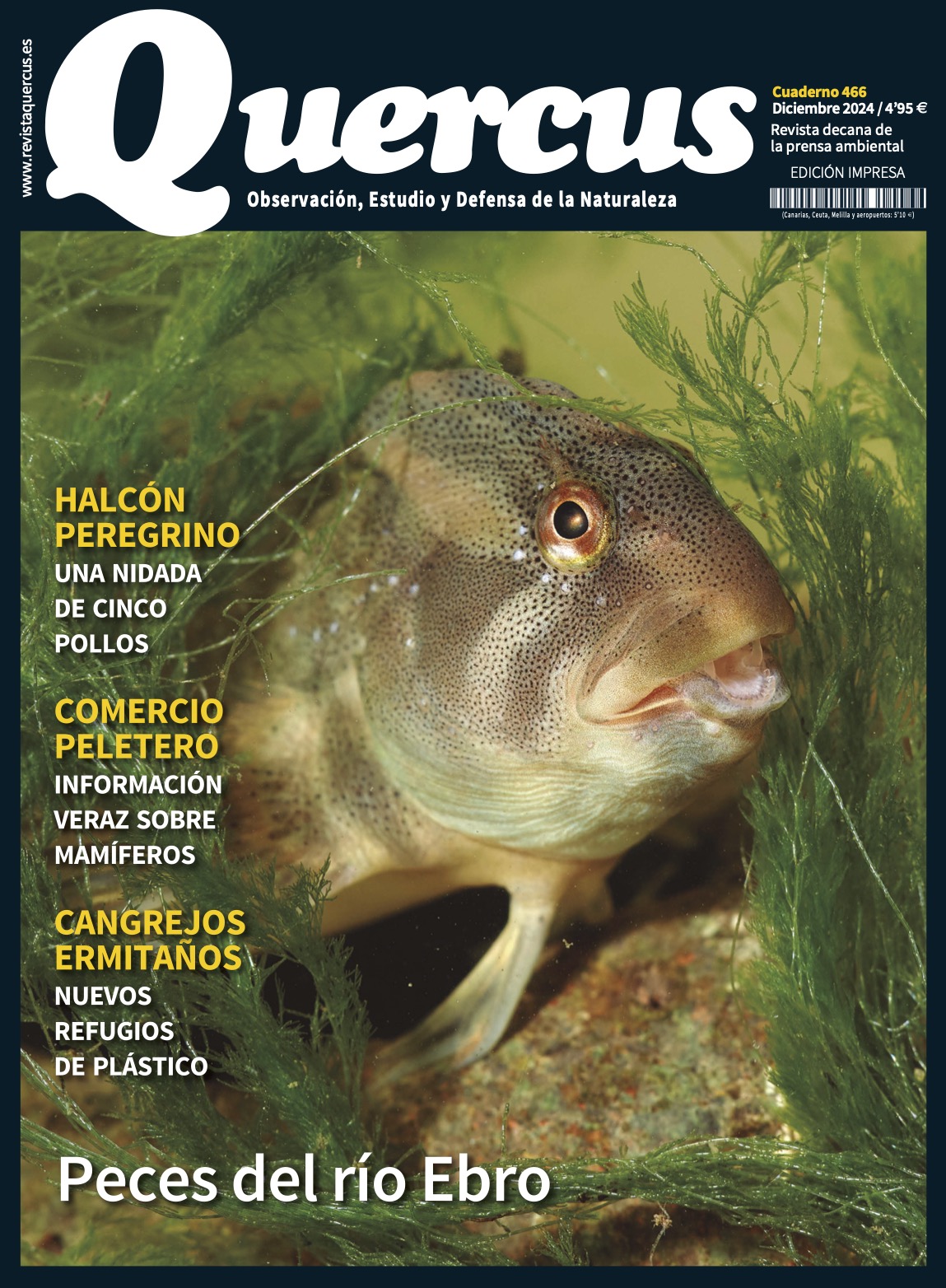 Revista Quercus