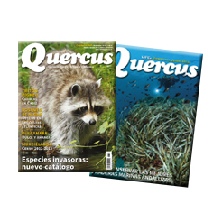 
Suscríbete a Quercus
